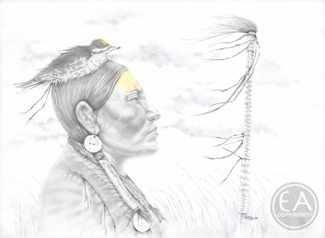 American Indian Women Warriors Title: The Other Magpie, pencil & pastel.