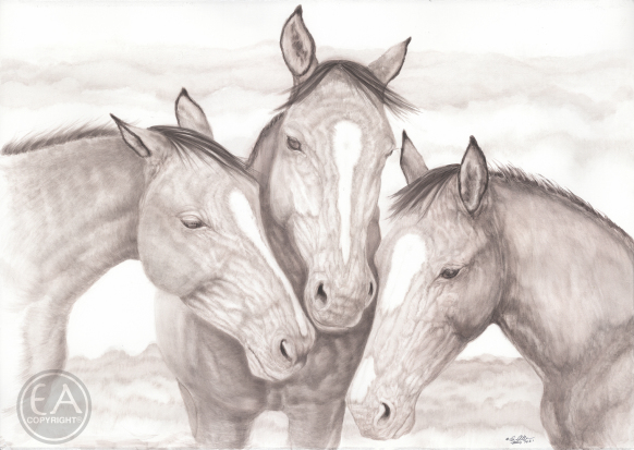 American Horses Sympatico. Watercolor