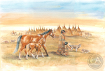Plains Indian Life - Bringing in the Watched Eyed Colt
