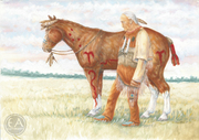 Horses of the West - The Cheyenne Horse Doctor
