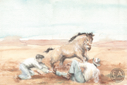 Horses of the West - Buckskin Stallion
