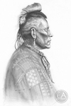 American Indians of the West - Indian with Roached Hair