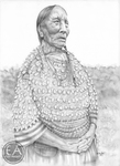 American Indian Women Warriors - Minnie Hollow Wood