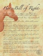 Horses and Poetry - Horses Bill of Rights